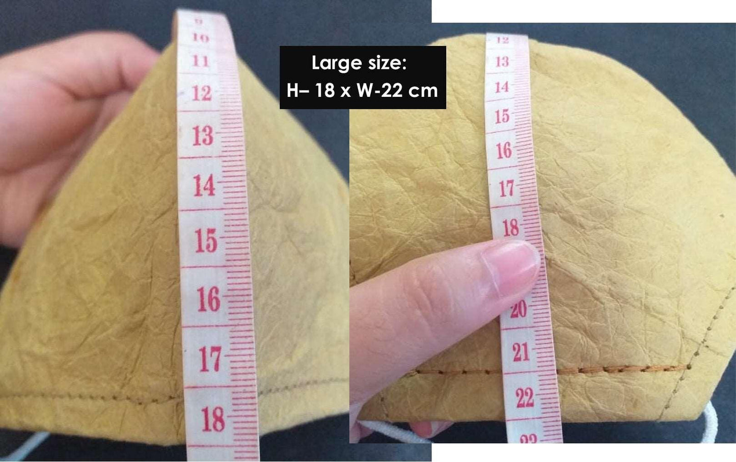 LIMITED EDITION Autumn / Winter Face Mask.