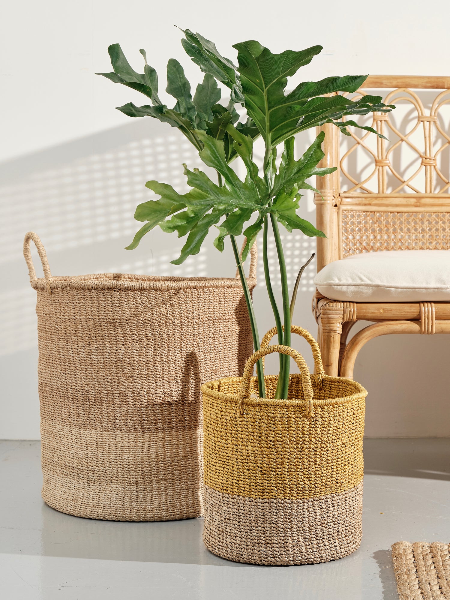 IMG_4671 - RADA COLLAB